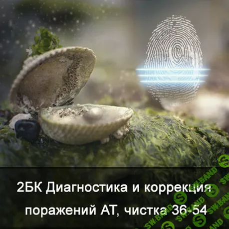 2БК Диагностика и коррекция поражений АТ, чистка от 36 до 54 лет [Ксения Меньшикова]