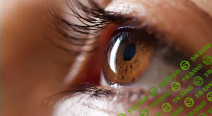 4 способа улучшить зрение без операций