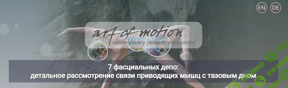 7 фасциальных депо: детальное рассмотрение связи приводящих мышц с тазовым дном [Artofmotion] [Карин Гуртнер]
