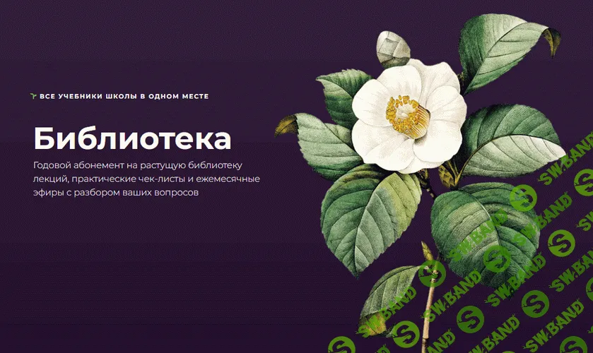 Абонемент на библиотеку лекций [Школа Сада]