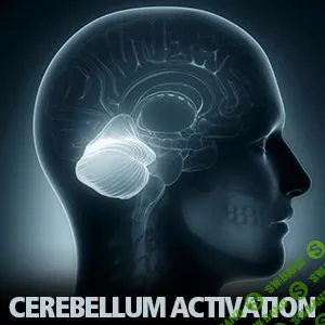 Активация мозжечка - Cerebellum Activation - IDOSER (бинаурал)