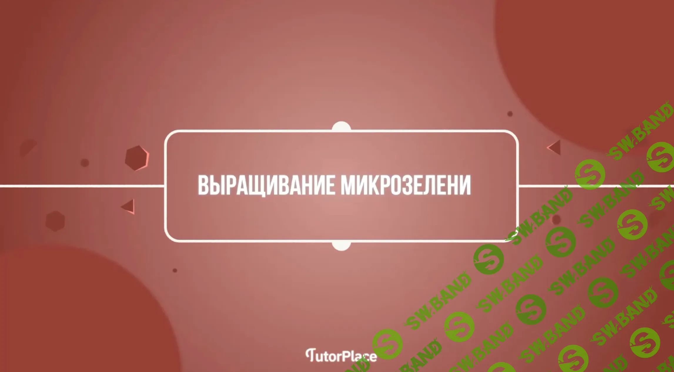 [Александр Шишов] Выращивание микрозелени (2021)