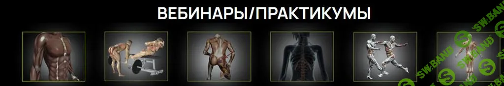 [Александр Волоткевич] Красивые ягодицы. Импиджмент ТБС. Синдром грушевидной мышцы (2025)