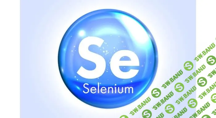 [Алексей Баранцев] Selenium IDE 3: стартовый уровень (2019)