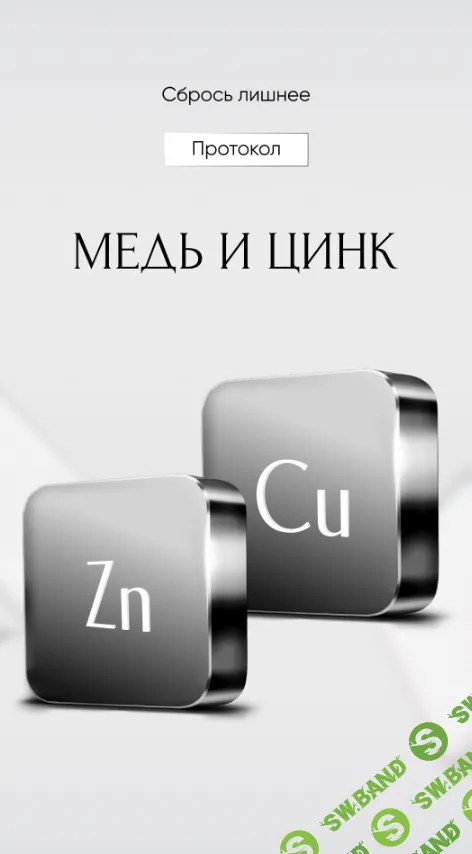 [Алена Ковальчук] Протокол Медь и цинк (2024)