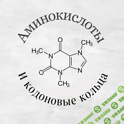 Аминокислоты и кодоновые кольца [‌Полина Ковалевич]