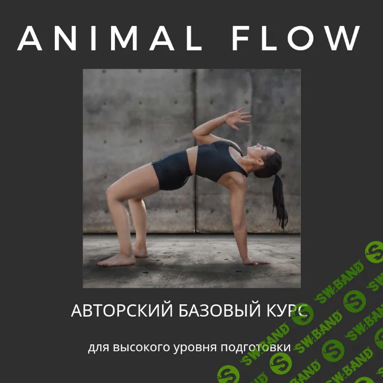 [Анастасия Канивец] Базовый курс ‌Animal Flow (2024)