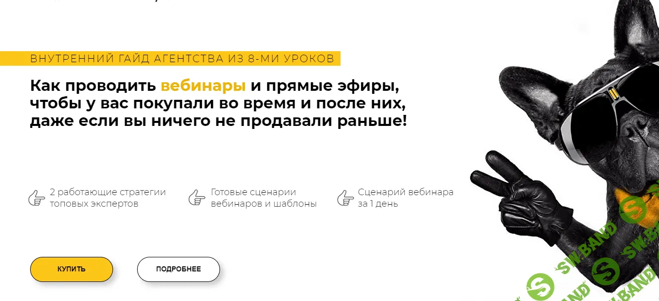 [Анастасия Ланская] Как проводить вебинары и прямые эфиры, чтобы у вас покупали (2020)