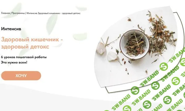 [Анастасия Родионова] Здоровый кишечник - здоровый детокс (2024)