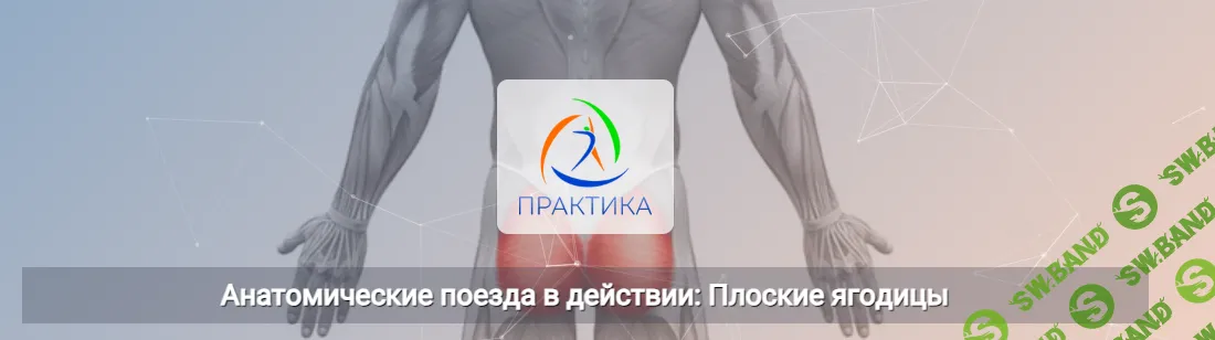Анатомические поезда в действии: Плоские ягодицы [Центр Практика] [Анна Щербина]