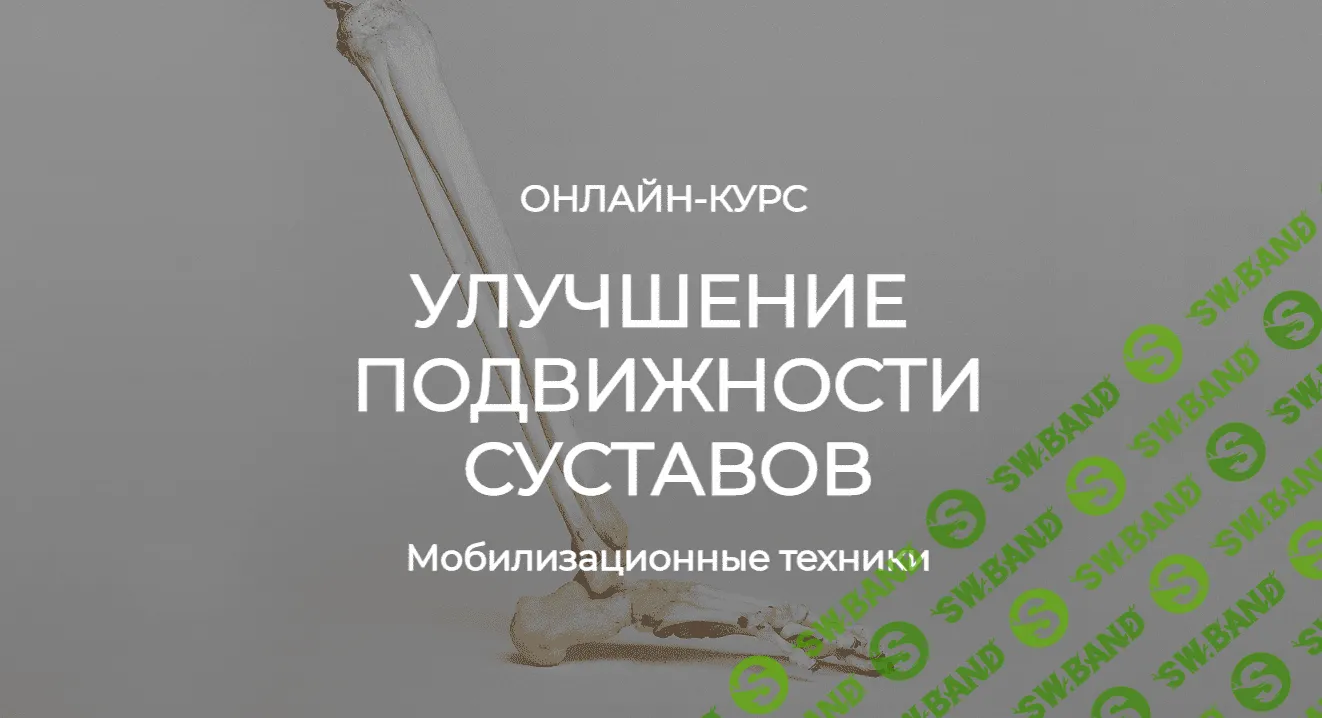 [Анатомия] [Андрей Богатырев, Александр Семенов] Улучшение подвижности суставов. Мобилизационные техники