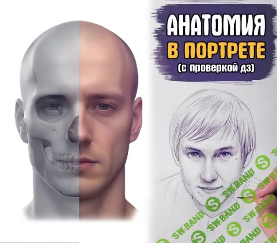 Анатомия в портрете. Базис [Андрей Марков]