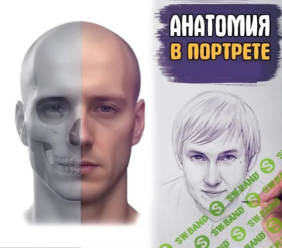Анатомия в портрете. Базис [Тариф Без обратной связи] [Андрей Марков]