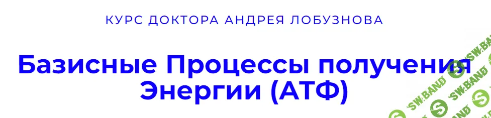 [Андрей Лобузнов] Базисные процессы получения энергии (АТФ) (2022)