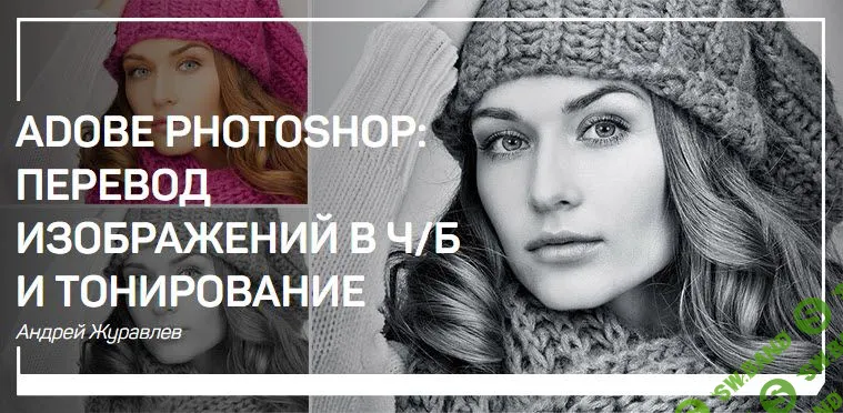 [Андрей Журавлев] Adobe photoshop - перевод изображений в ч/б и тонирование (2018)
