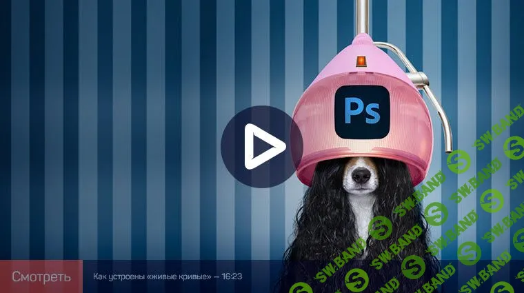 [Андрей Журавлев] Adobe Photoshop: режимы наложения. Практика применения. Выпуск 1 (2020)