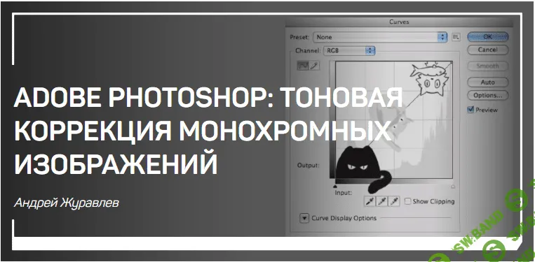 [Андрей Журавлев] Adobe Photoshop тоновая коррекция монохромных изображений
