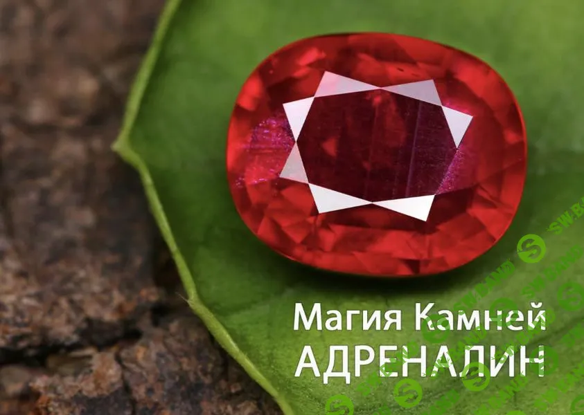 [Анна Гак] Магия камней (2025)