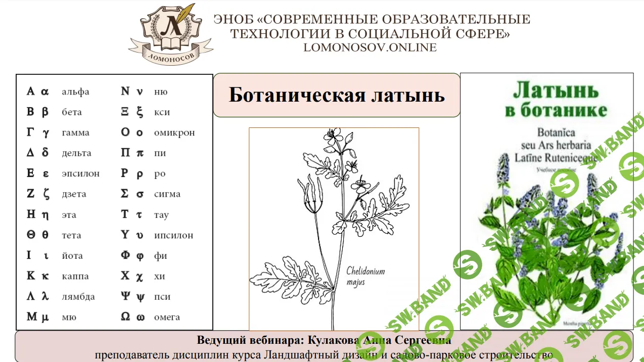 [Анна Кулакова] Ботаническая латынь (2023)