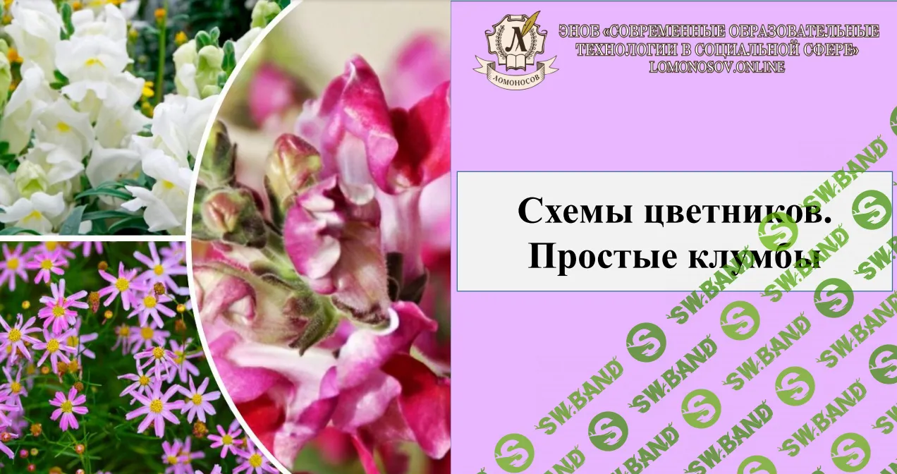 [Анна Кулакова] Сборник вебинаров по ландшафтному дизайну и садоводству (часть 3) (2024)