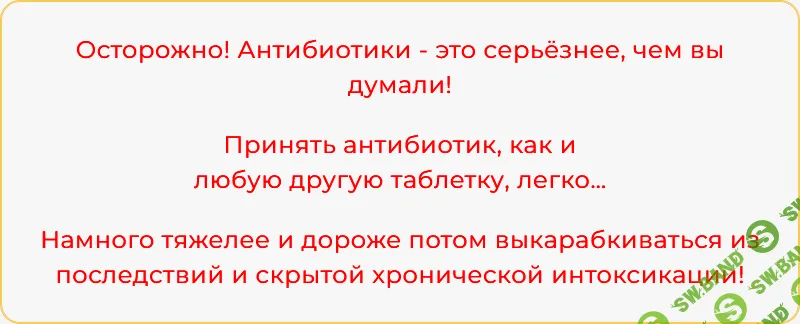 Анти-антибиотики: пошаговый план восстановления здоровья после приема антибиотиков [Александра Бонина]