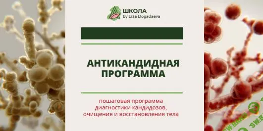 Антикандидная программа [Лиза Догадаева]