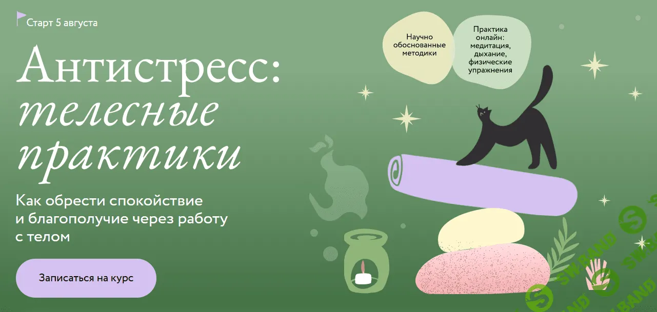 Антистресс: телесные практики. Как обрести спокойствие и благополучие через работу с телом [МИФ.Курсы] [Дарья Сучилина]