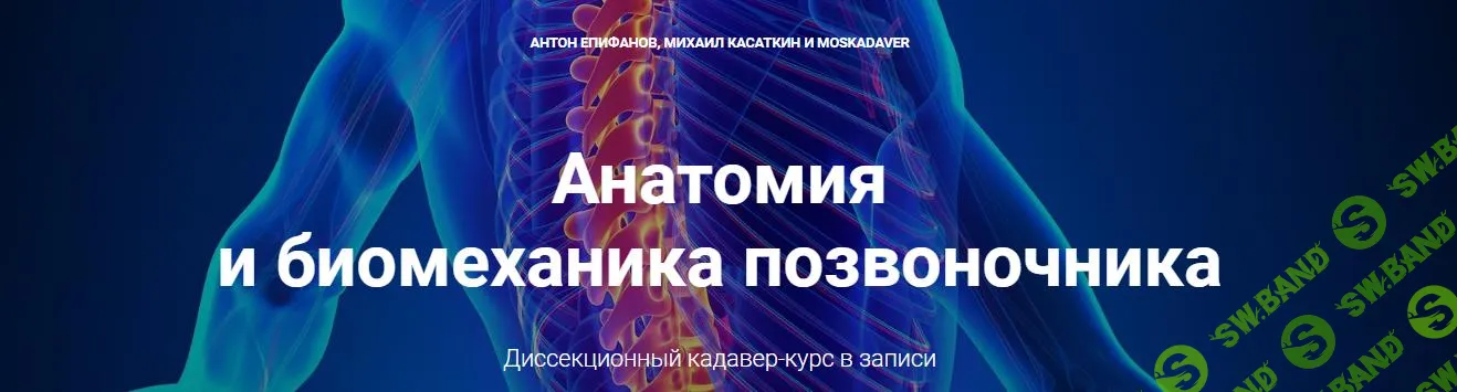 [Антон Епифанов, Михаил Касаткин] Анатомия и биомеханика позвоночника (2020)
