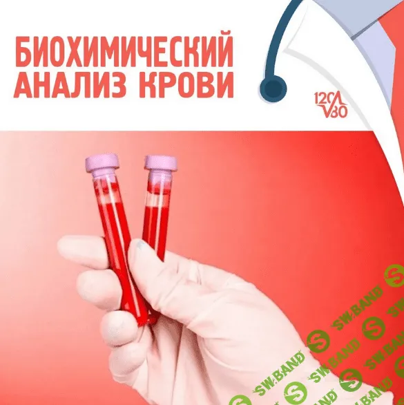 [Антон Поляков] Биохимический анализ крови (2022)