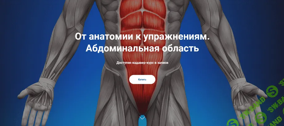 [Антон Шапочка, Михаил Касаткин] От анатомии к упражнениям. Абдоминальная область (2022)