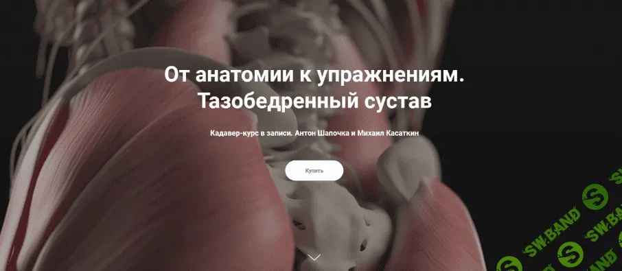 [Антон Шапочка, Михаил Касаткин] От анатомии к упражнениям. Тазобедренный сустав. Кадавер (2022)