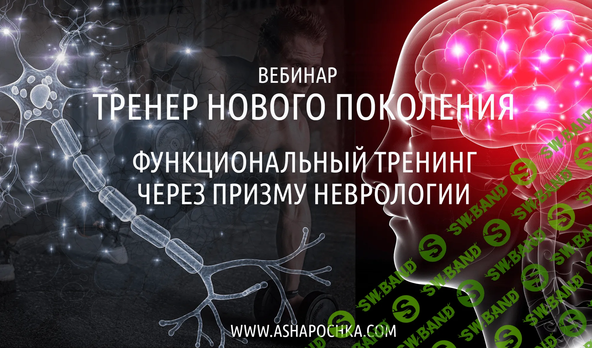 [Антон Шапочка] Тренер нового поколения. Функциональный тренинг через призму неврологии (2021)