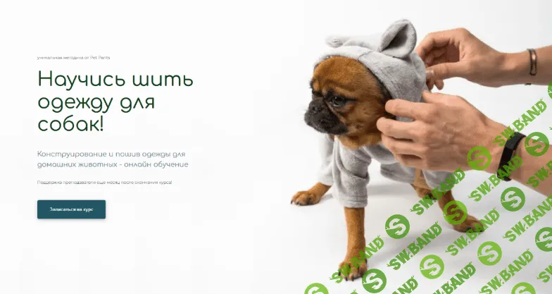 [Антонина Баранова] [Pet Pants] [Шитье] Конструирование и пошив одежды для домашних животных (2022)