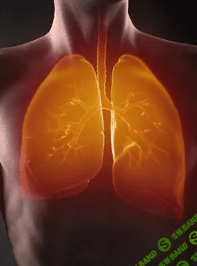 [AST Production] Болезни органов дыхания и психосоматика. Исцеление дыхательных путей
