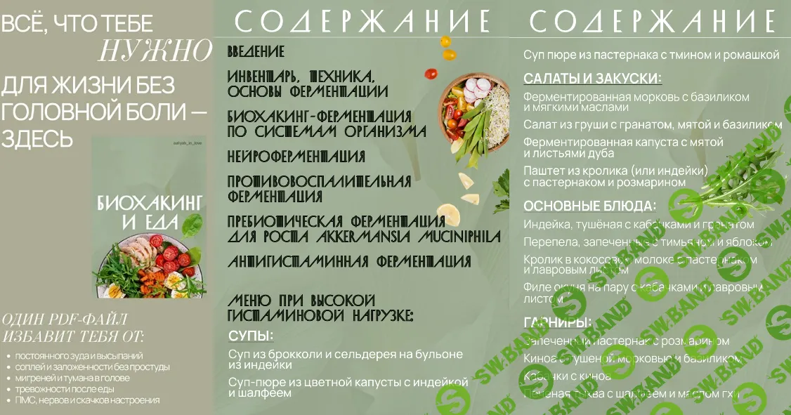 Биохакинг и еда [Аалия Маджид]
