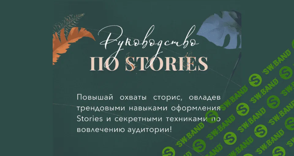 [bizcarusel] Екатерина Алёшина - Руководство по stories. Тариф PRO (2021)