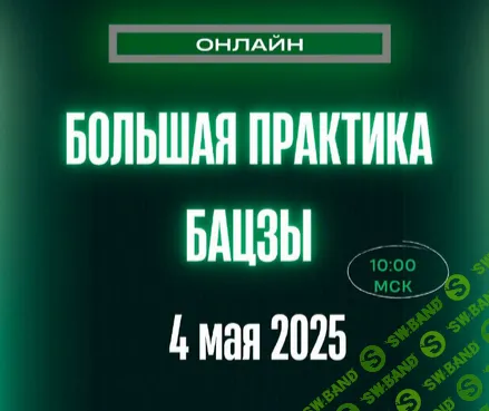 Большая Практика Бацзы [Оксана Сахранова]