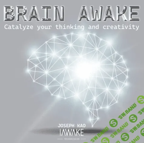 Brain awake. Catalyze your thinking and creativity [Joseph Kao]