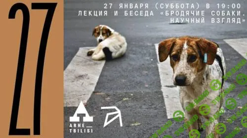 Бродячие собаки. Научный взгляд [Архэ] [Денис Симонов, Алексей Верещагин]
