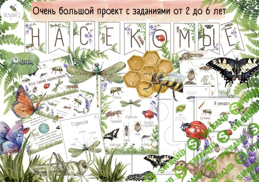 [busy-bee] Большой проект Насекомые (2025)