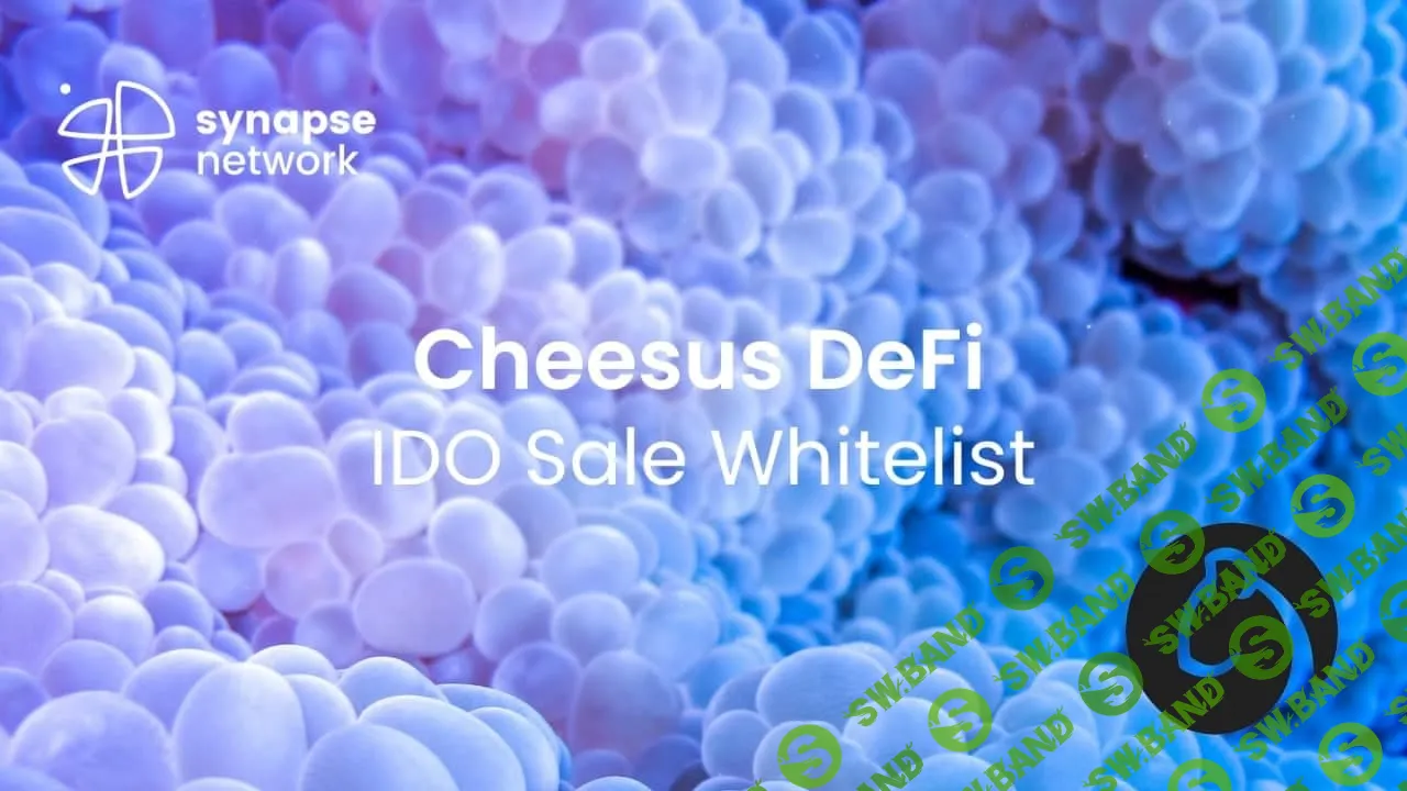 [Cheesus DeFi IDO] Whitelist лотерея Cheesus DeFi IDO на Synapse Network