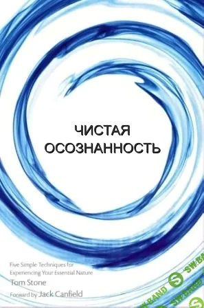 Чистая осознанность [Том Стоун]