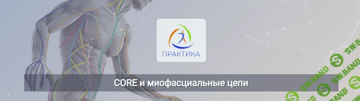 CORE и миофасциальные цепи [Центр Практика] [Евгений Кабацков]