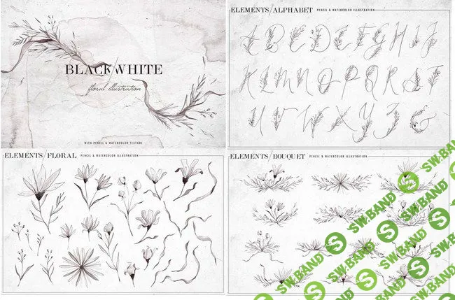 [Creative Fabrica] Black & White Watercolor Floral - PNG