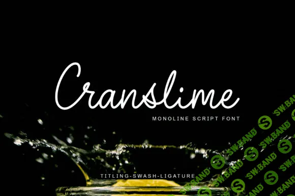 [Creativefabrica] Cranslime Font