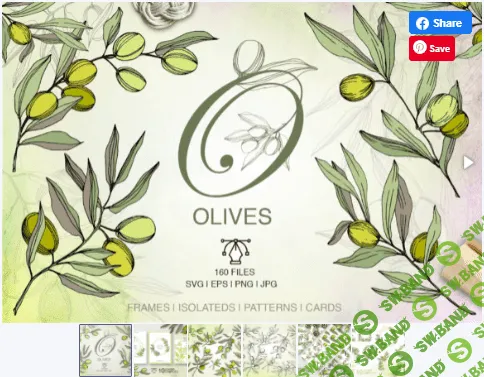 [Creativefabrica] Olives Vector Watercolor Set (2020)