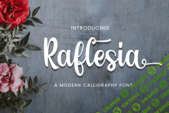 [Creativefabrica] Raflesia Font