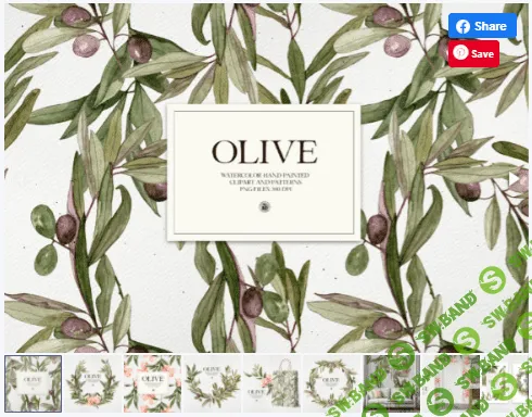 [Creativefabrica] Watercolor Olive - Patterns and Frames (2021)