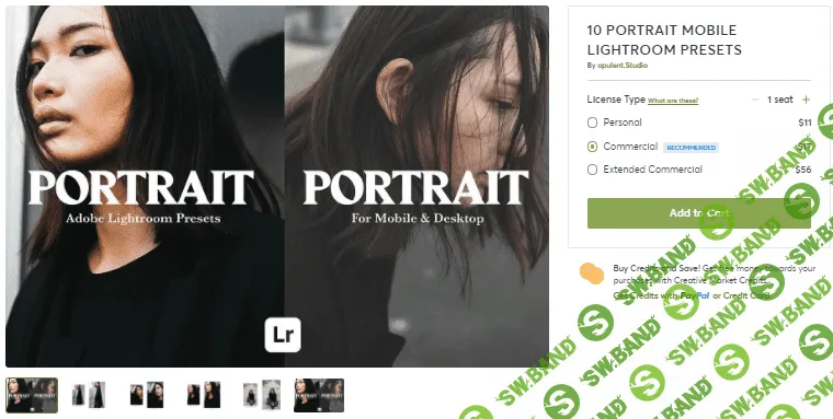 [Creativemarket] 10 Portrait mobile lightroom presets (2020)