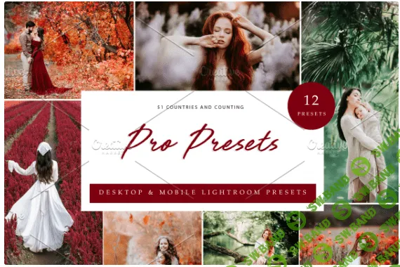 [creativemarket] 12x Lightroom Presets, Pro Presets (2021)
